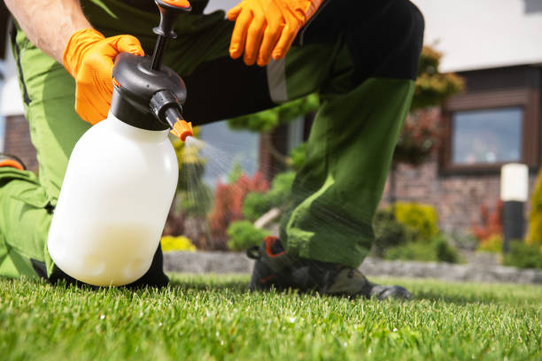 Best Best Pest Control Companies  in Jal, NM